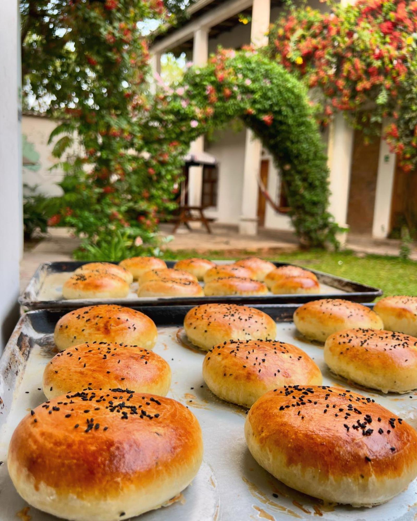 Jardin Cafe Hotel & Restaurant 그라시아스 외부 사진